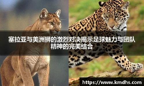 塞拉亚与美洲狮的激烈对决揭示足球魅力与团队精神的完美结合